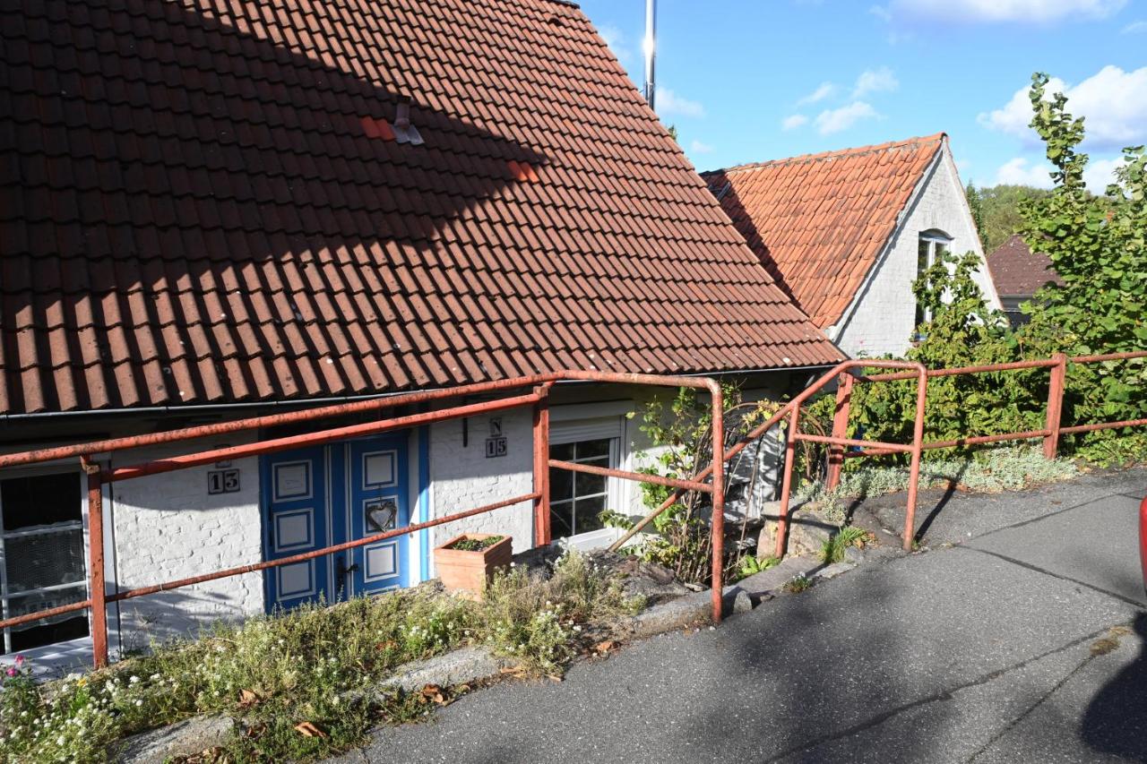 fewo1846 - Unsere Blume - charmante 2-Zimmer-Wohnung mit Terrasse - B&B