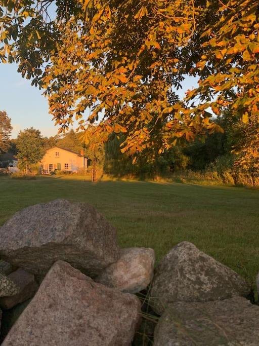 Landhaus „Blattgold“ - Bed and Breakfast