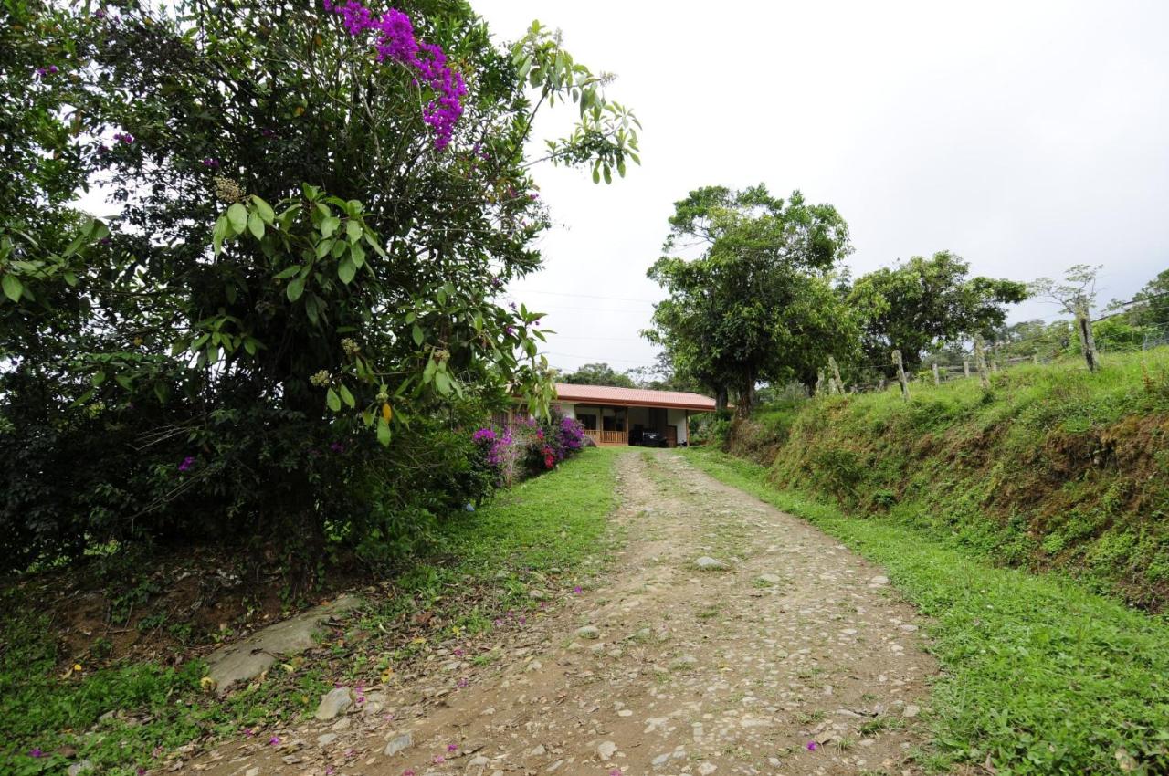 Finca Queveri - Ferienwohnung