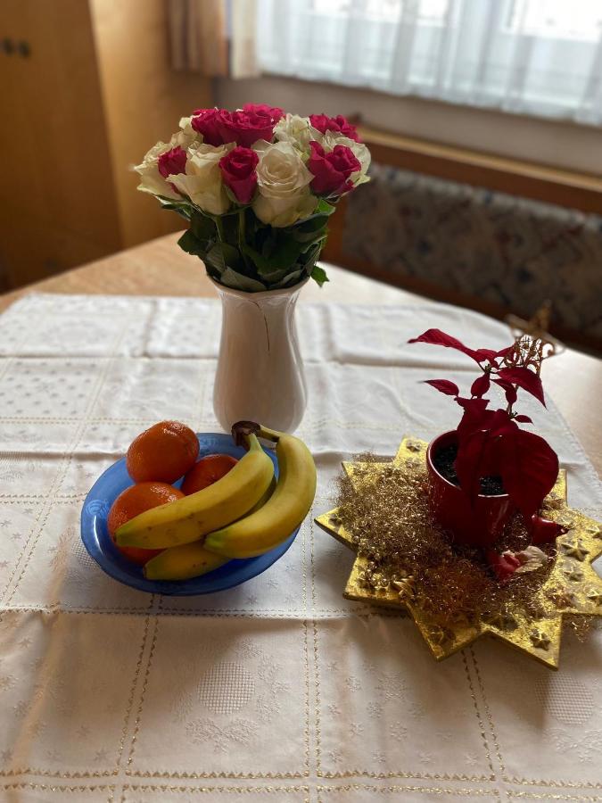 Apart Claudia - Ski-in and Ski-out - B&B Kappl