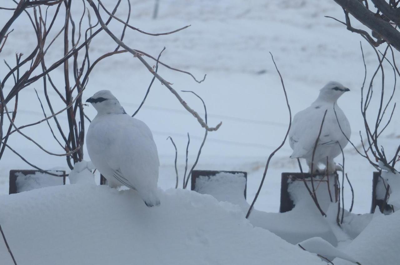 Apartment mit Gartenblick