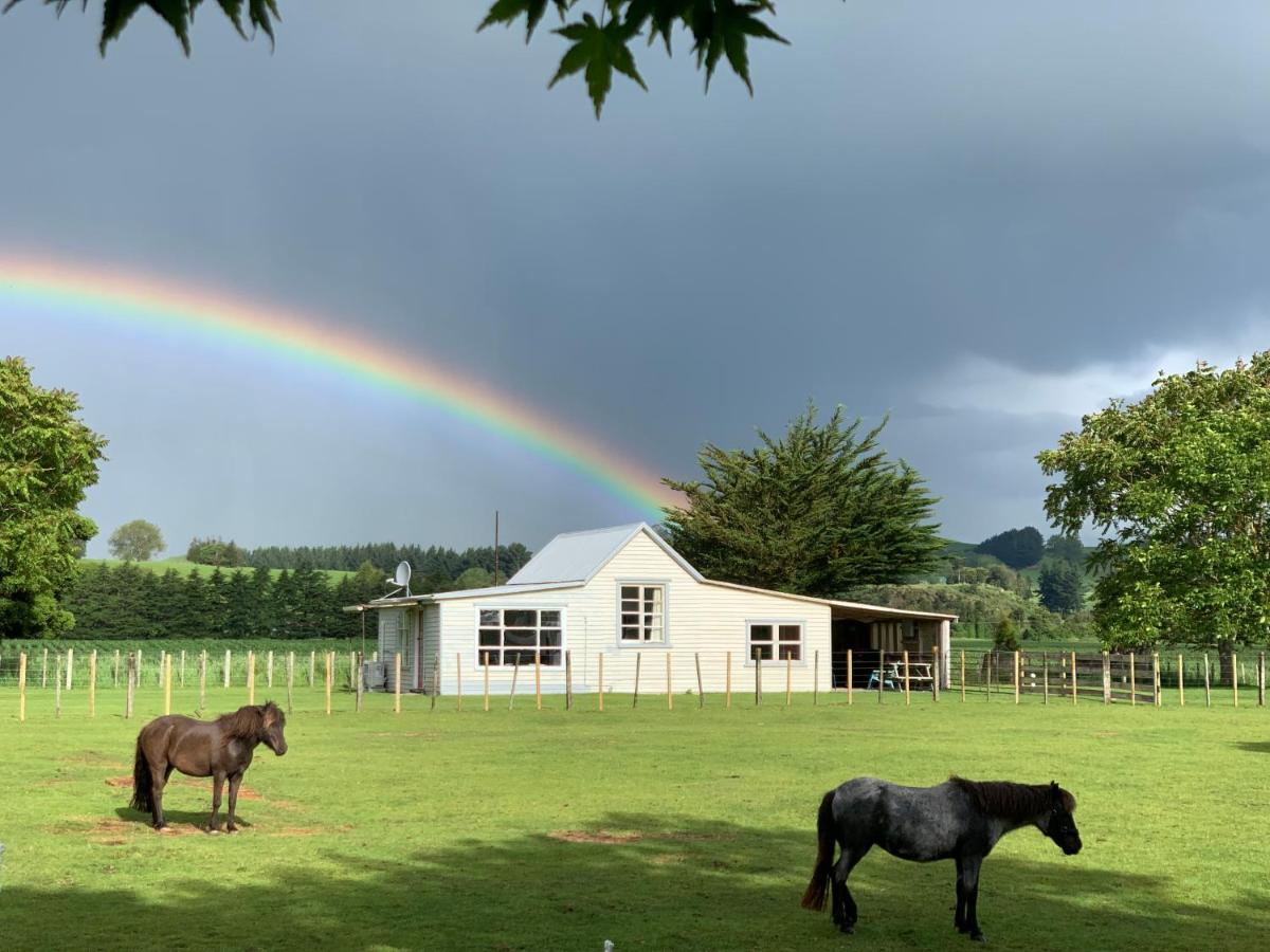 Cliff Top Cottage - B&B Ohingaiti