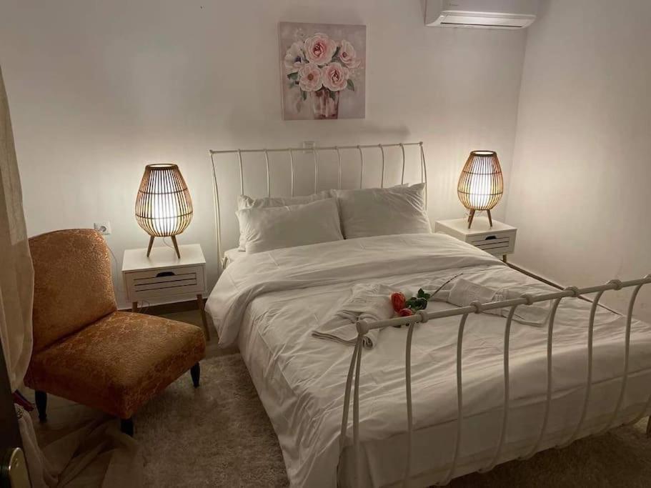 Appartement 1 Chambre