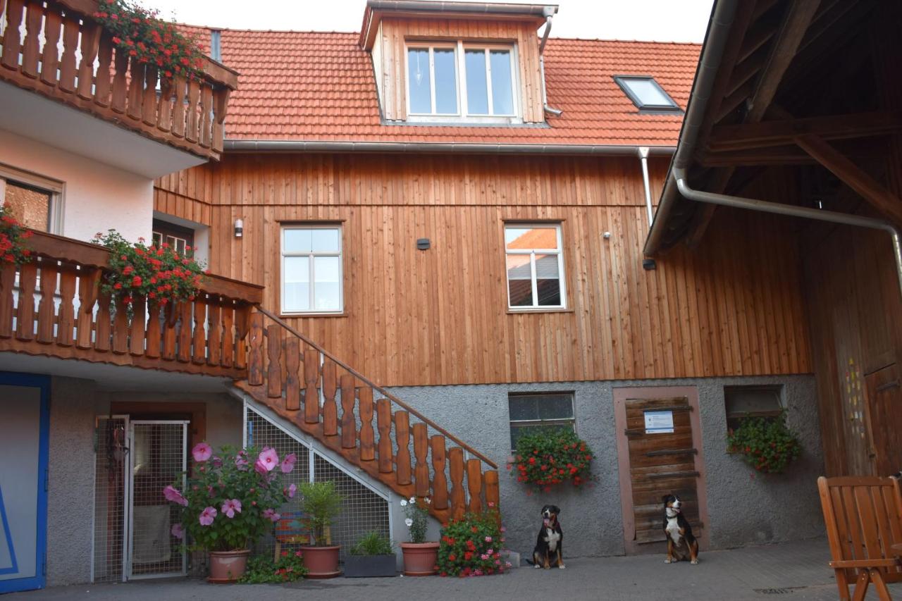 Ferienbauernhof Brandt - B&B