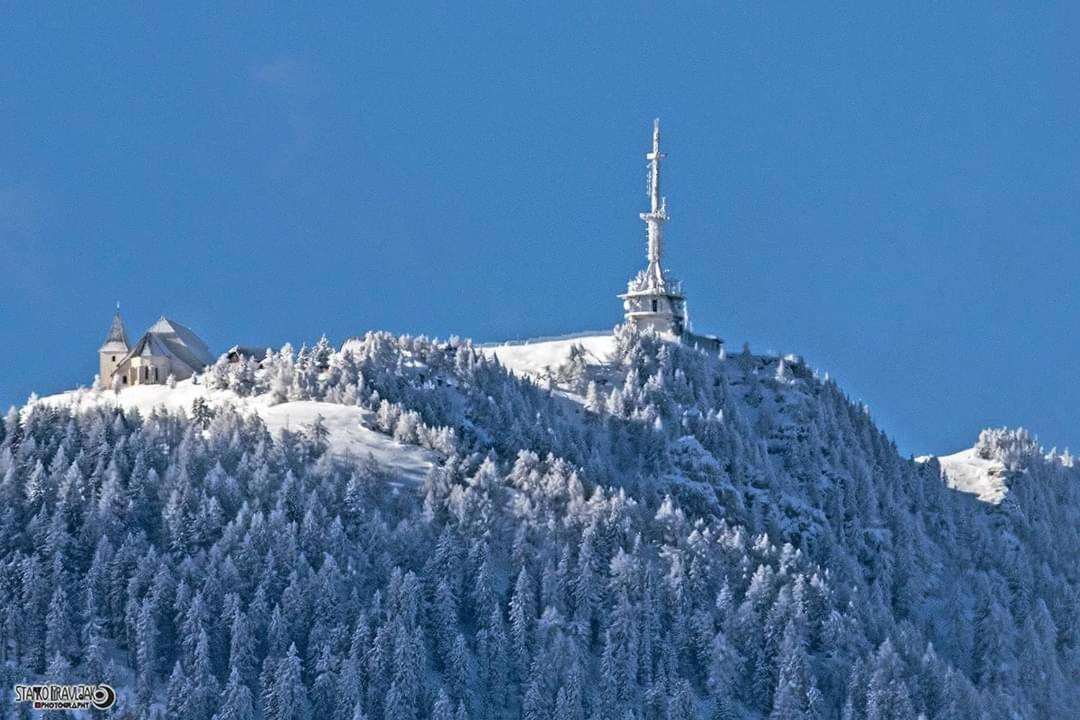 Hiša pri Bici - B&B