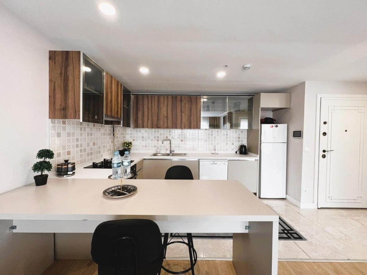 Appartement 1 Chambre