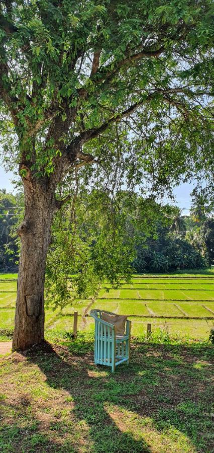 Villa Tamarind Shade - Talalla - B&B Talalla South