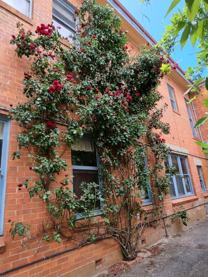 La Cochon Rose Motel - Chambres d’hôtes