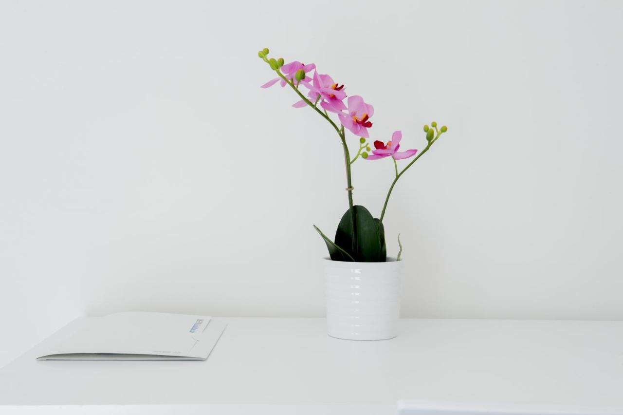 Il Castelluccio - B&B Arezzo