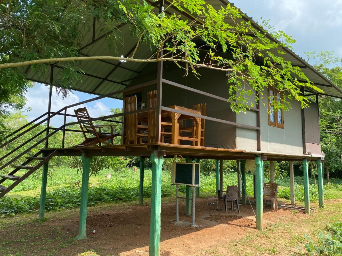mango villa wilpattu - B&B