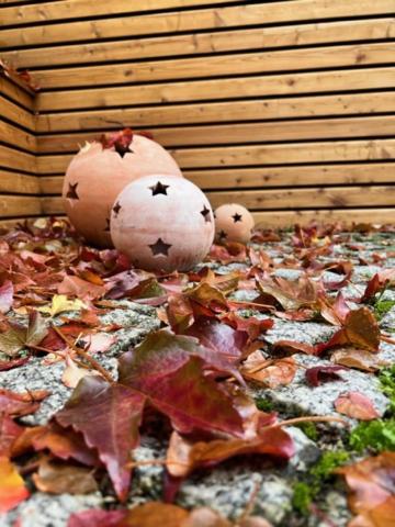 Altstadtpension am Dom - B&B Erfurt