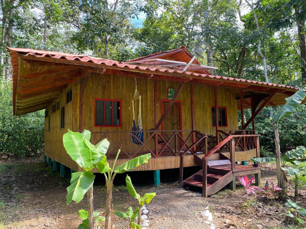 Sabalo Lodge Tours and Cabins - B&B Sierpe