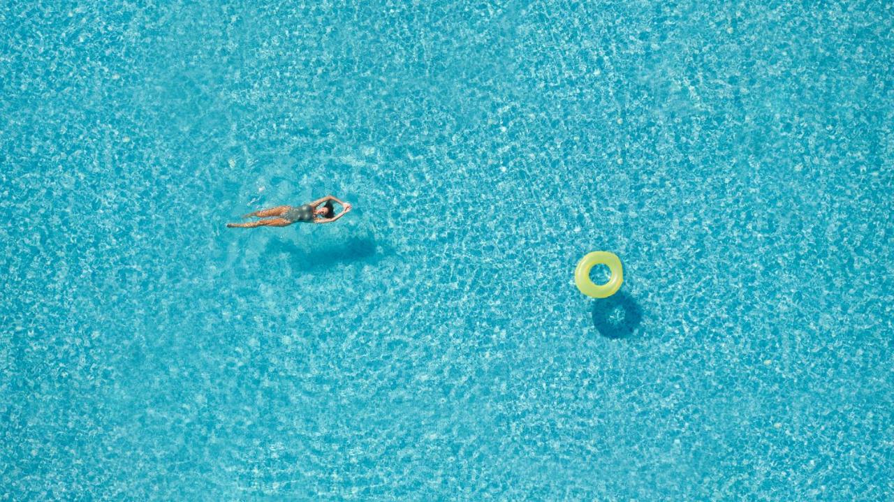 Little Bird Lesvos - B&B Petra