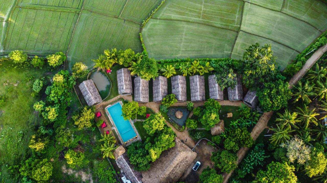 Gaga Bees Yala - B&B