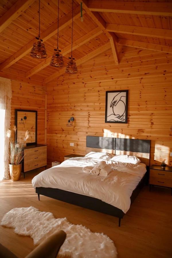 Studio with Sofa Bed