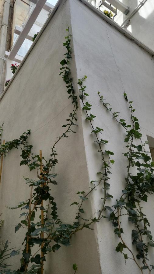 QUART0 GREC0 Suite 17 - B&B Altamura