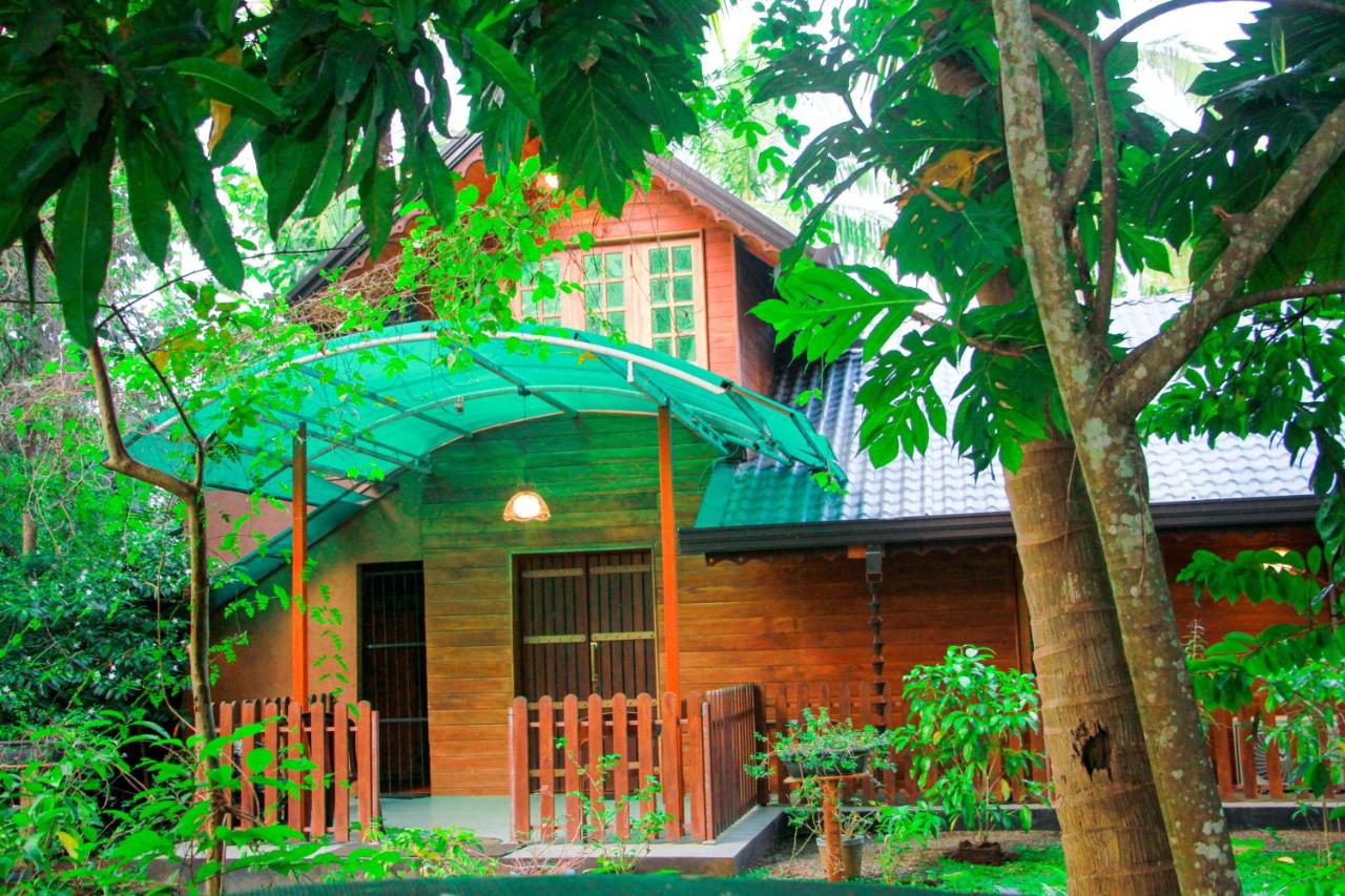 Machcha Lodge Sigiriya - B&B