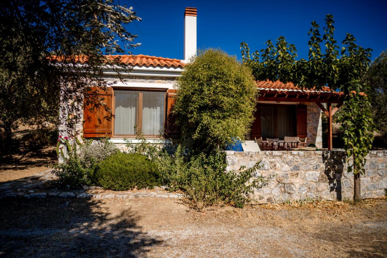 Traditional Architecture Seafront Stone House in 25000sqm Olive Grove - C - B&B