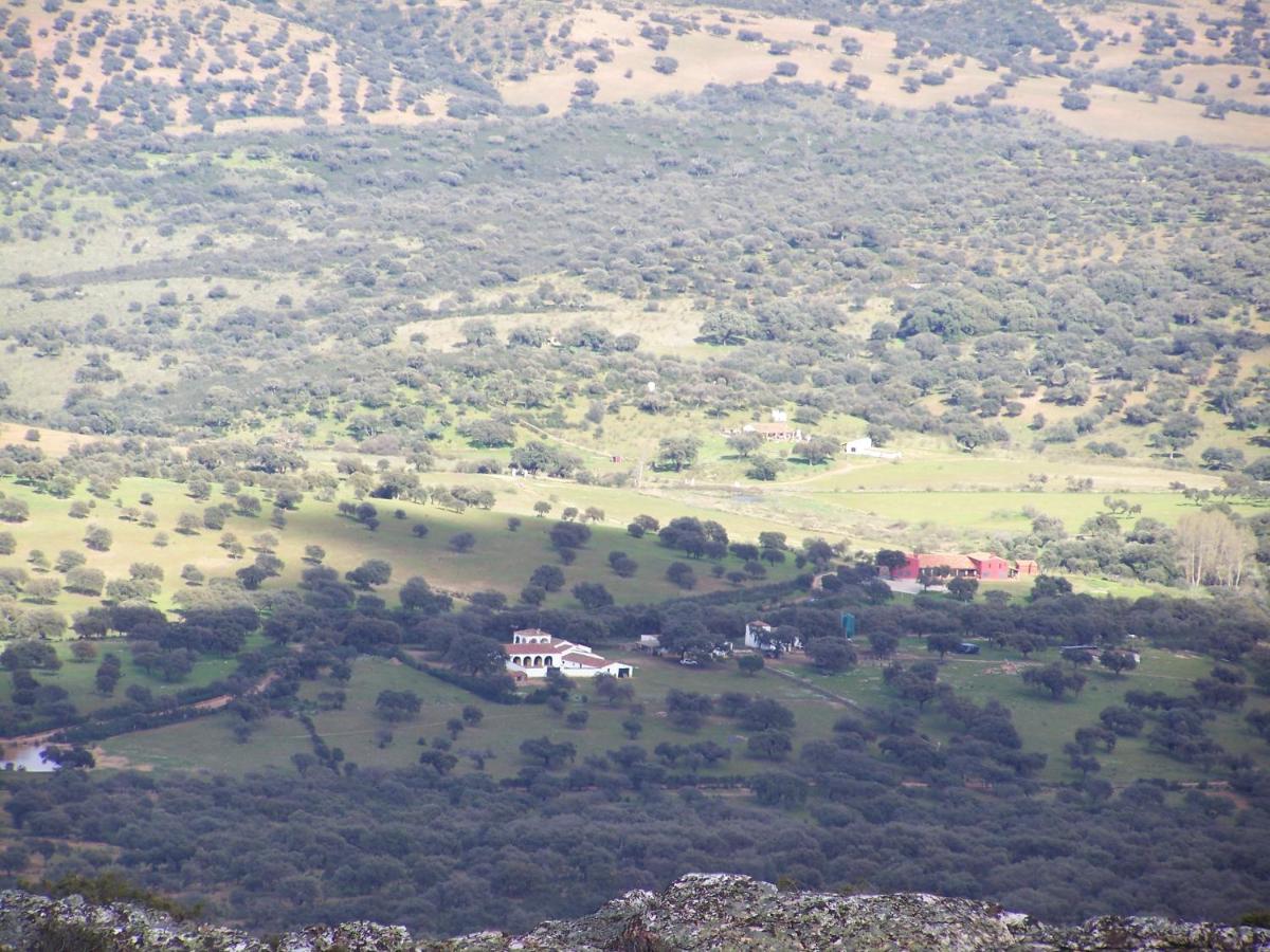Casa Rural de la Finca Sierra Grande - Ferienwohnung