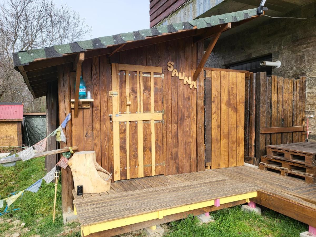 Pensiunea ANA Vistisoara - Chambres d’hôtes Viștișoara