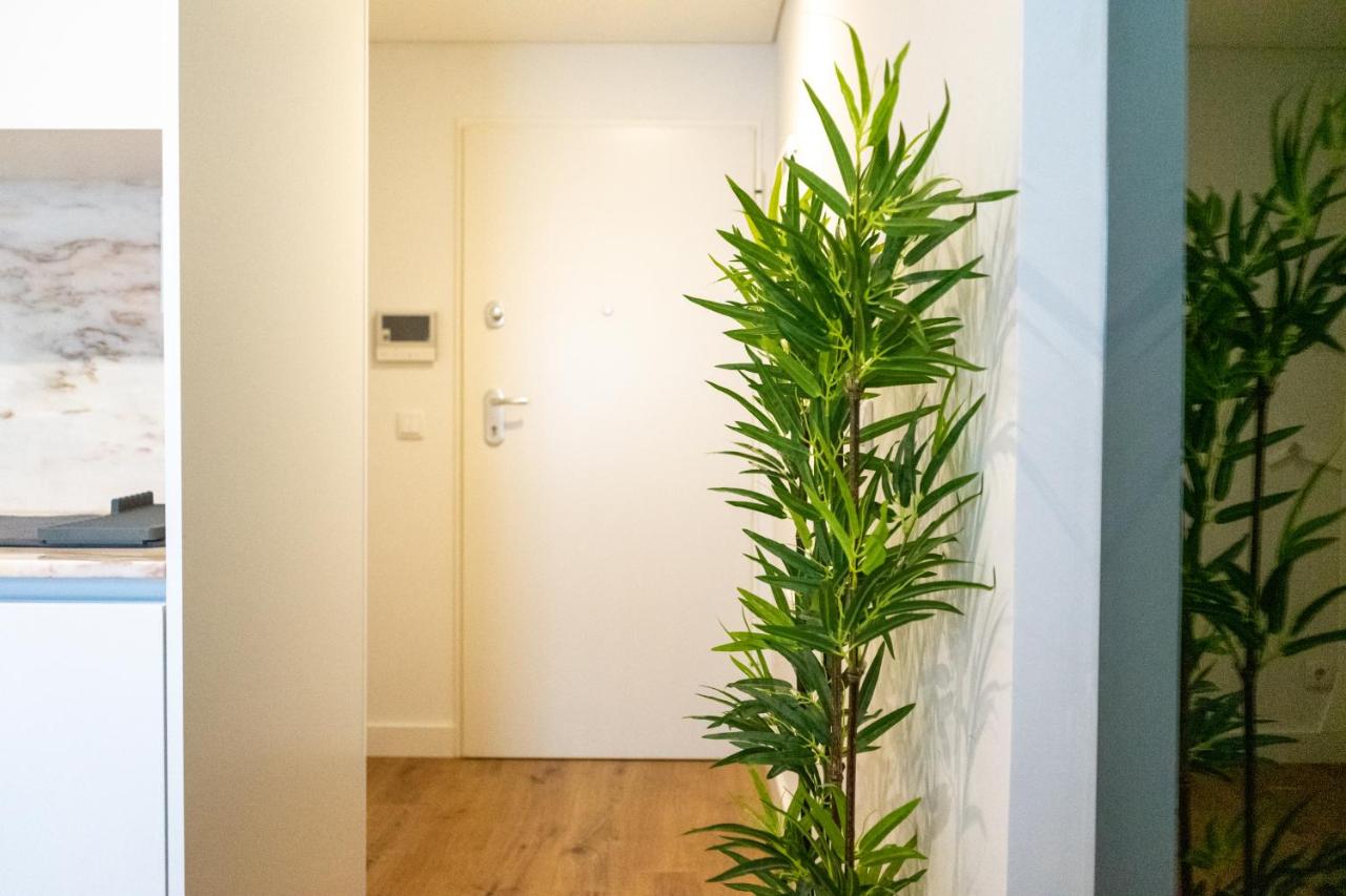 The Beautiful Ones Studio - B&B Oporto