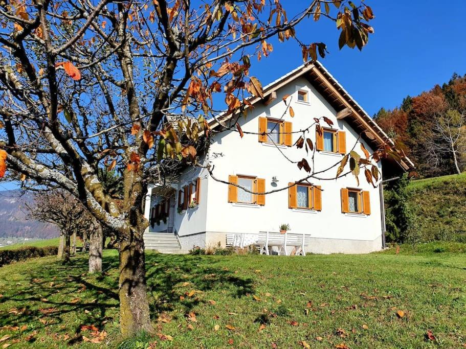 Casa Vacanze