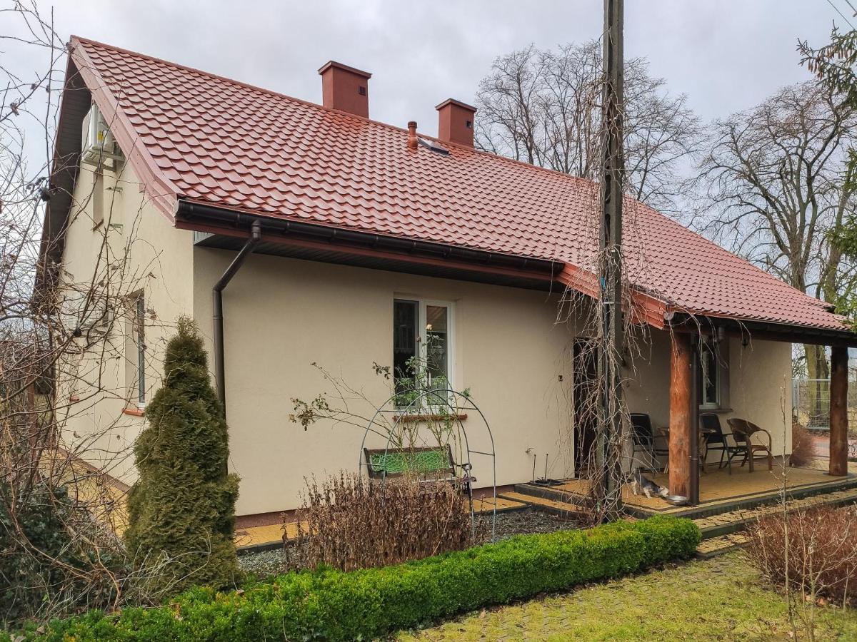 Dom Nad Narwią Łubienica 15 - B&B Łubienica