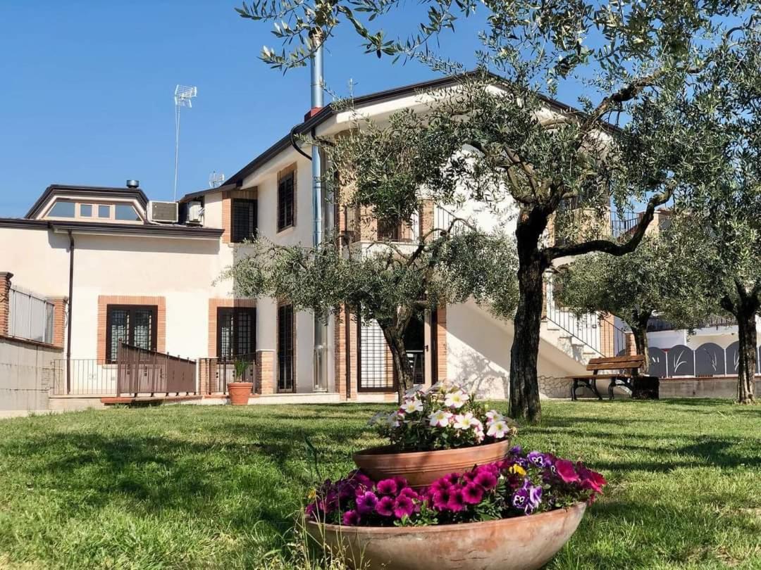 B&B Bagnoli - Agriturismo Gusto Nocciola - Bed and Breakfast Bagnoli