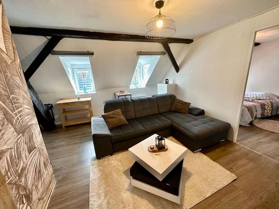 Logement entier au coeur de Strasbourg - B&B