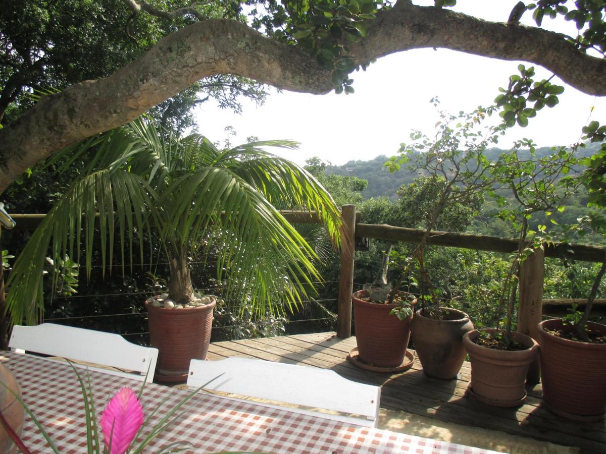 Utopia in Africa Guest Villa - B&B
