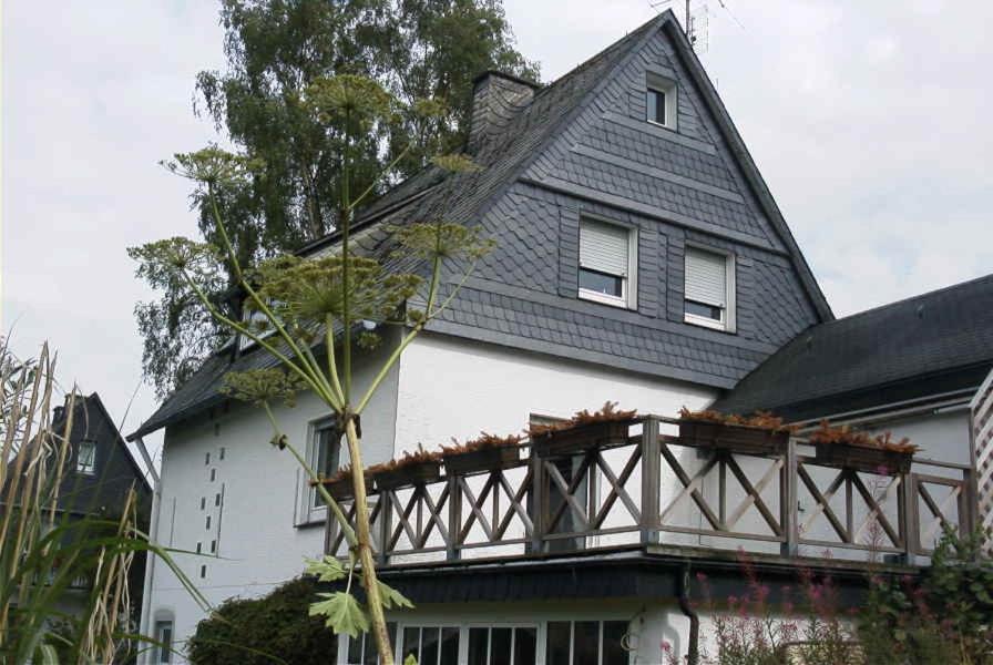 Weitblick auf Berg, Wald und Wiese - Ferienwohnung Schmallenberg