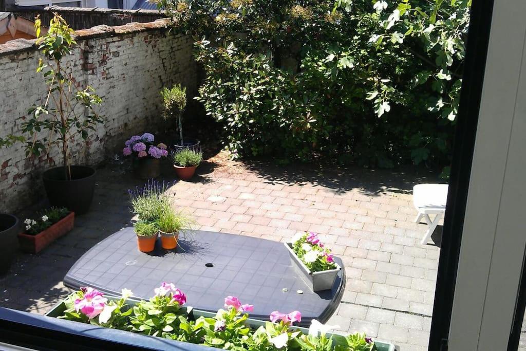 B&B Antwerpen - charming house with 3 bedrooms & terrace 10 minutes from city centre - Bed and Breakfast Antwerpen