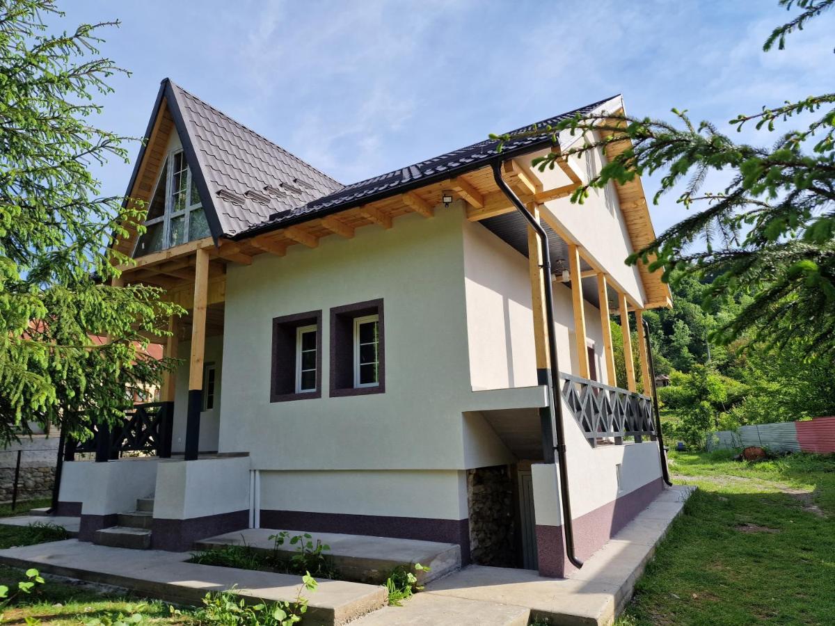 B&B Vişineşti - CABANĂ pe Râul Cricovul Dulce - Bed and Breakfast Vişineşti