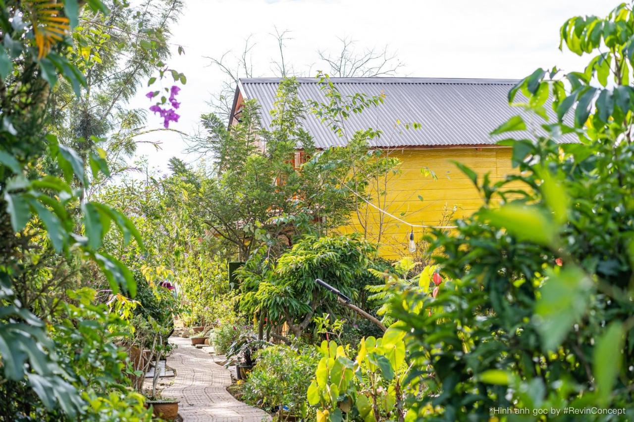 Gỗ Thông Lâm Viên Villa Đà Lạt - B&B Da Lat