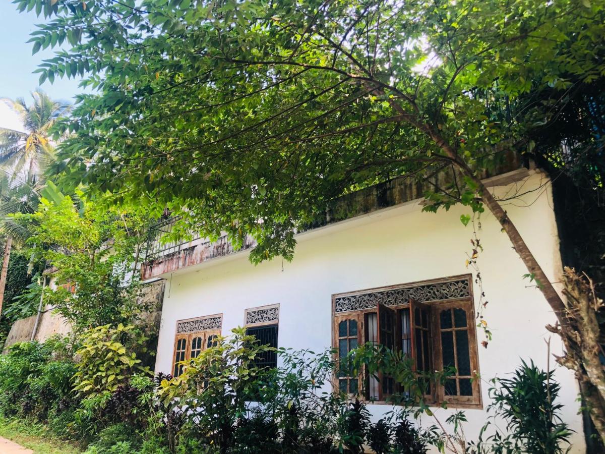 Thaaaru Villa - B&B