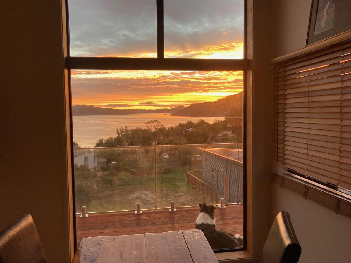 B&B Dunedin - Commanding Harbour views exquisite sunset vista - Bed and Breakfast Dunedin