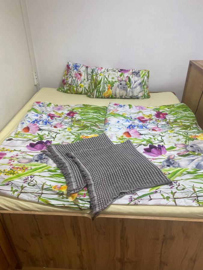 Aparmánový byt v centre Banskej Bystrice & free parking - B&B Banská Bystrica