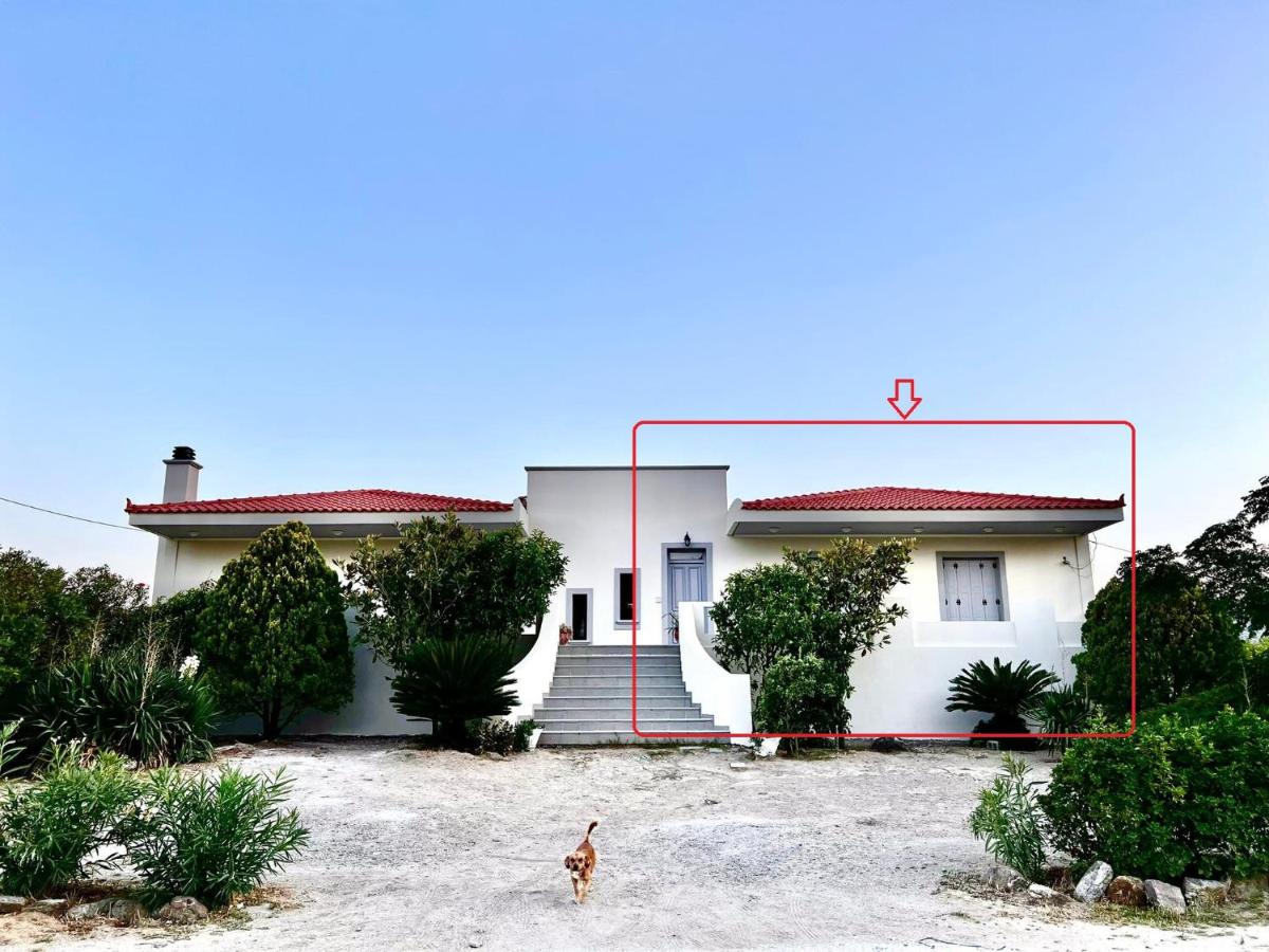 EvgatisBeach Loyskoy 2 - B&B