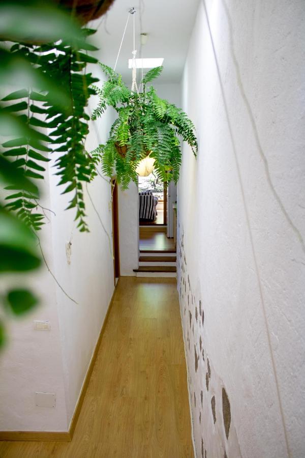 Casa BellaVista de Haría - Chambres d’hôtes