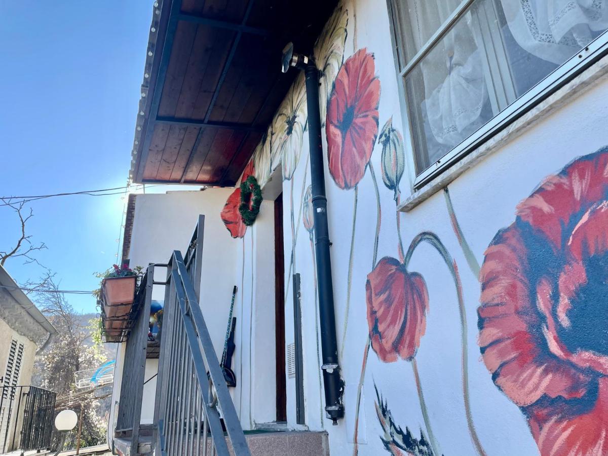 Casa Palazzo Civitanova - Ferienwohnung Civitanova del Sannio