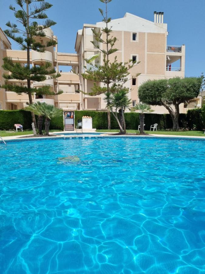 Flamenco penthouse sea view & swimming pool - B&B Torrevieja