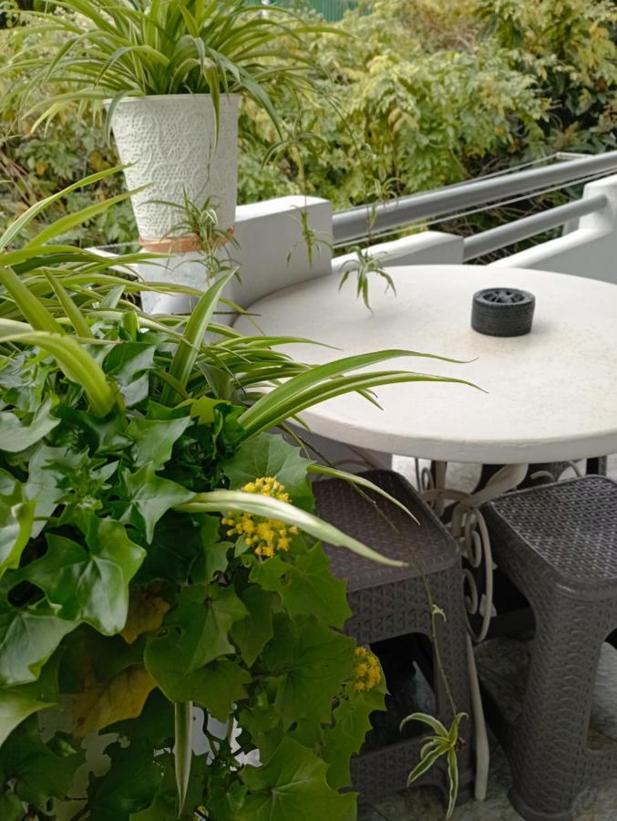 Guesthouse Next to beach - B&B Batum