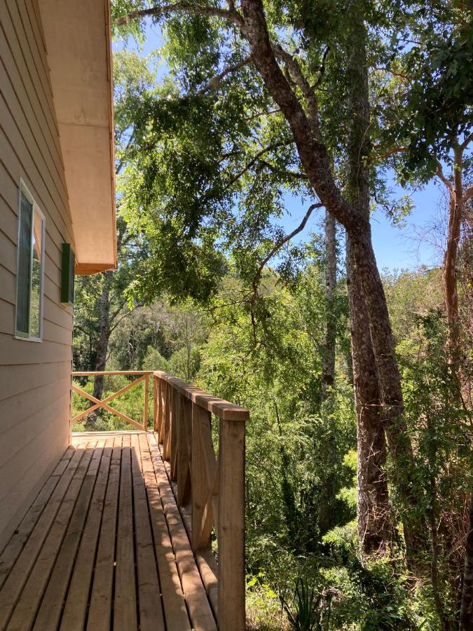 Los Canelos de Cayumapu - B&B Valdivia