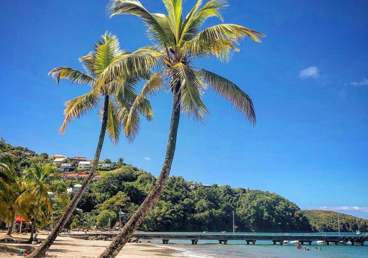 Superbe Appart T2 de standing, à l'Anse à l'âne, à 5mn à pied des plages - B&B Les Trois-Îlets