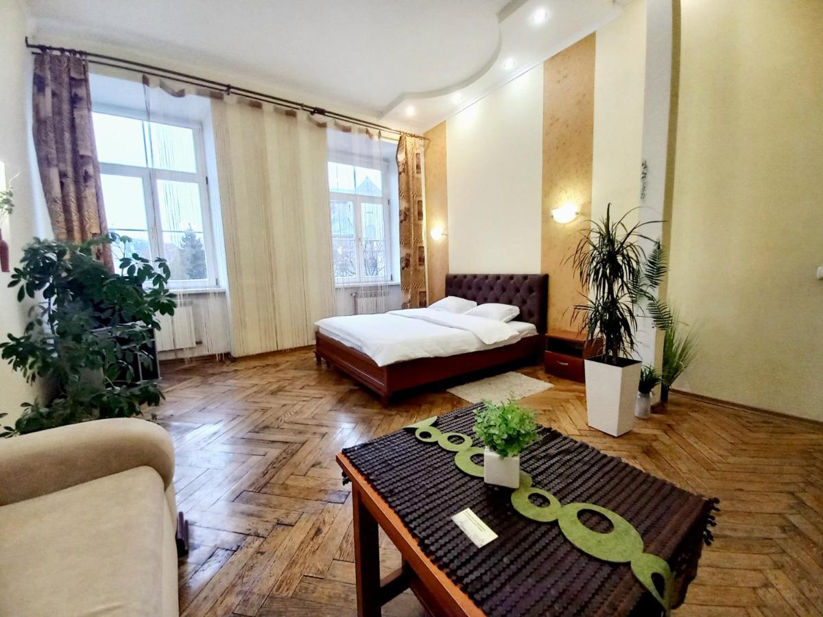 Two-Bedroom Apartment near Rynok Square(Krakivska str. 30/Valova str.16))