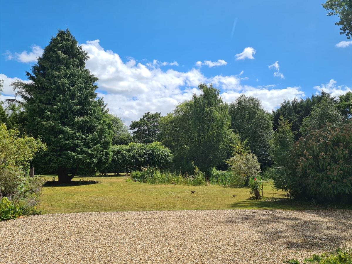 The Reading chalet with gardens and koi pond - B&B Reading