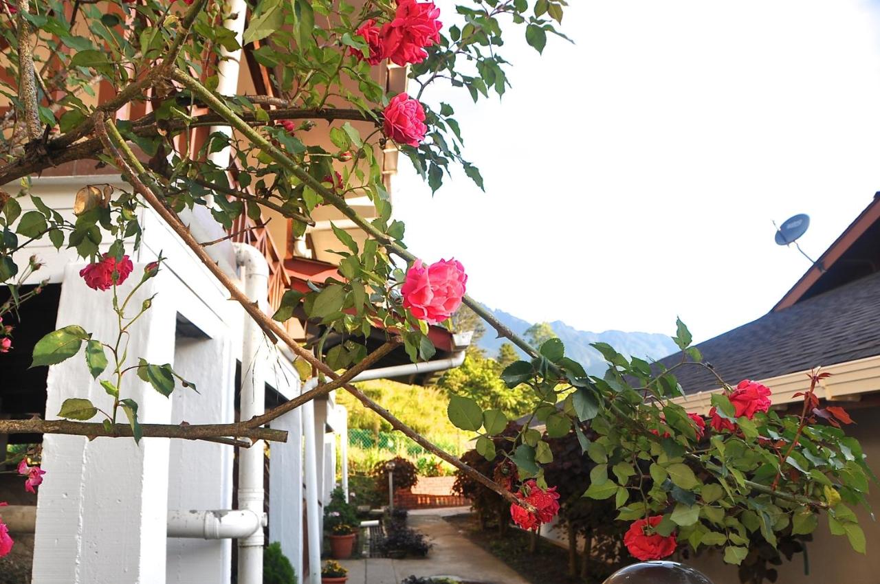 Nabalu Kundasang - B&B