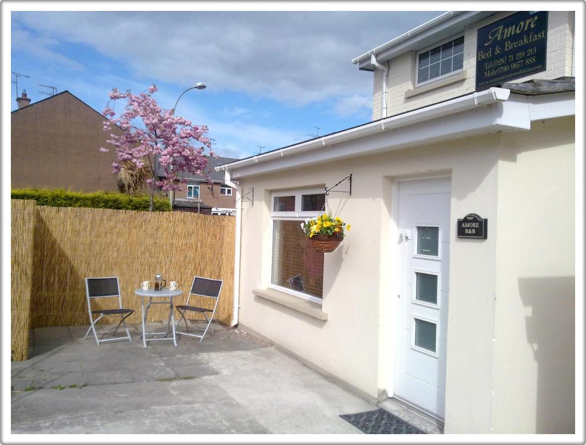 B&B Derry - Amore Bed & Breakfast - Bed and Breakfast Derry