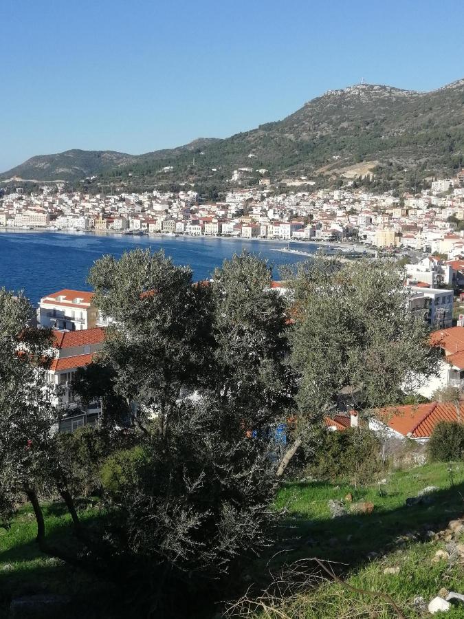 B&B Samos - Robert House - Bed and Breakfast Samos