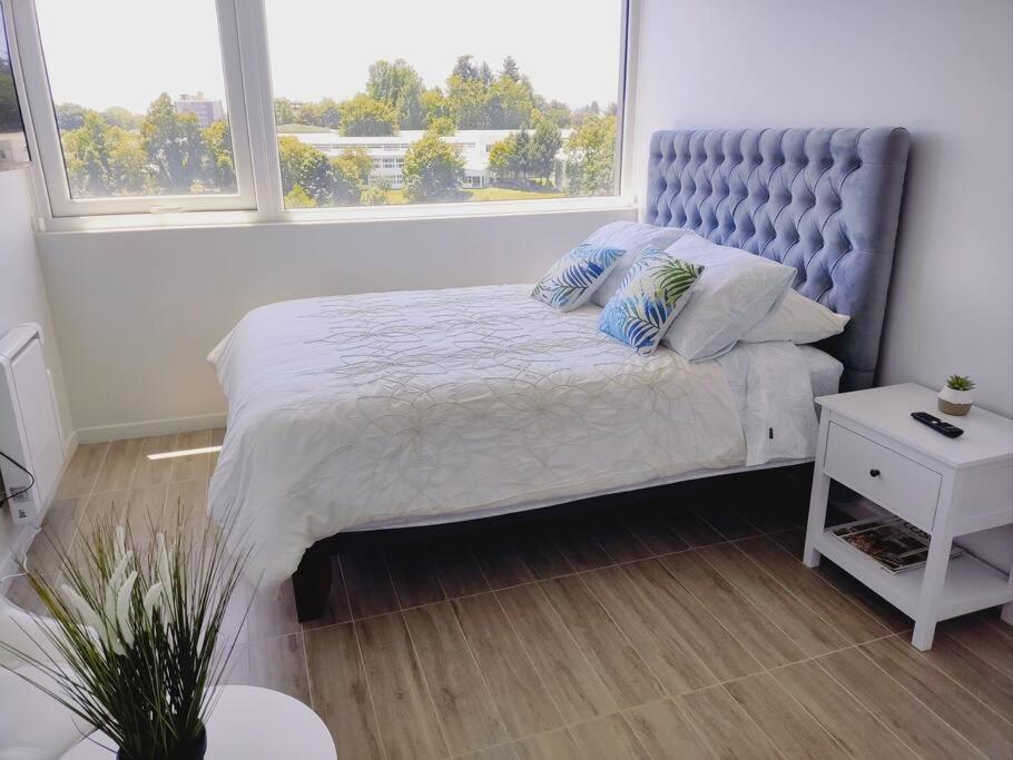 Departamento estudio IslaTeja - B&B Valdivia